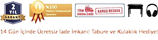 Piyano 2 Yıl Garanti