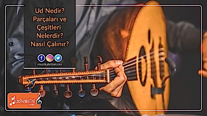 Ud nedir? Parçaları ve çeşitleri nelerdir? Nasıl çalınır?
