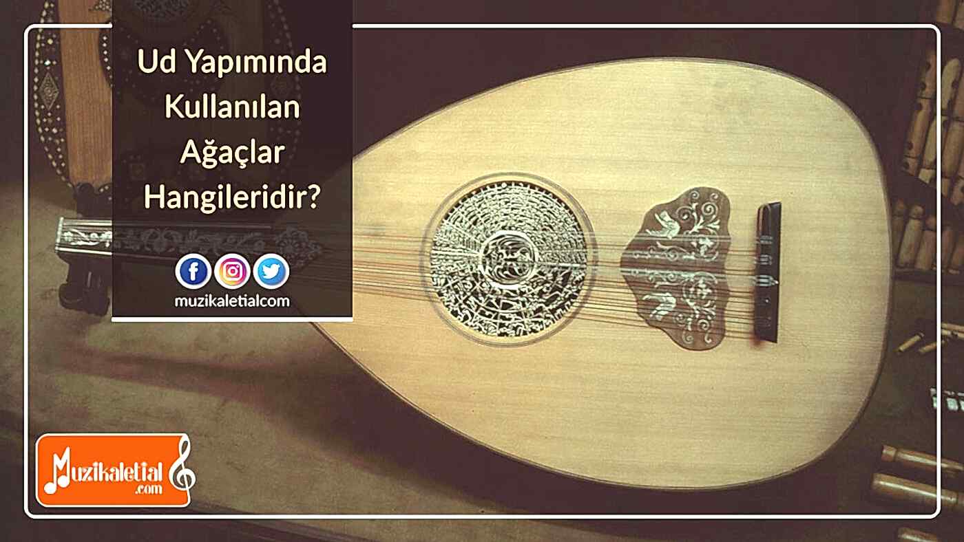 Ud yapımında kullanılan ağaçlar hangileridir?