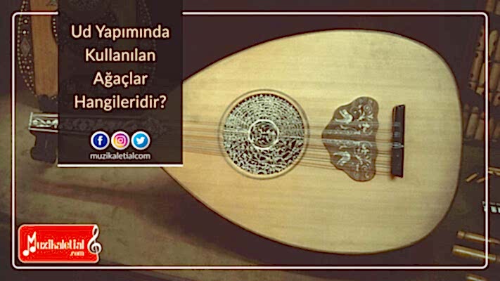 Ud yapımında kullanılan ağaçlar hangileridir?